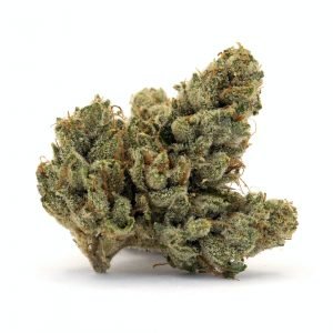 Jet Feul is a Sativa strain