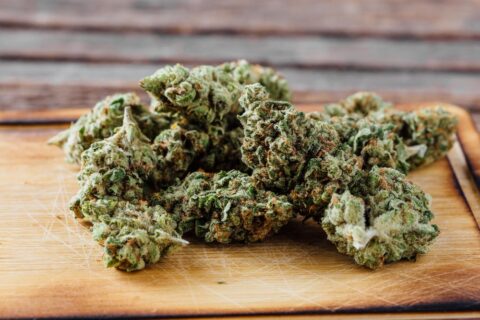 best sativa marijuana strains