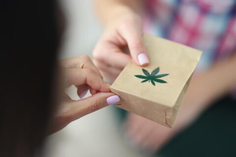 Buy Cannabis in Scarborough