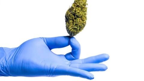 best indica strains
