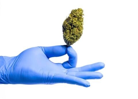 best indica strains