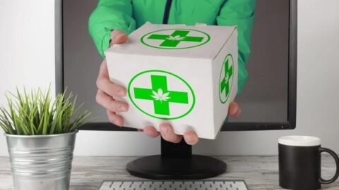 cheap weed delivery in Scarborough