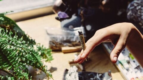 Weed dispensary Oshawa