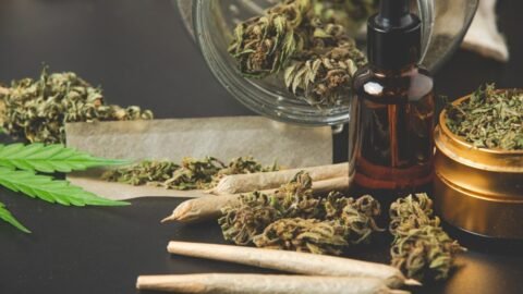 Cannabis dispensary North York