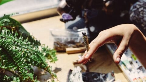 Cannabis dispensary North York