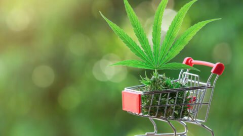 Oshawa weed store marijuana delivery service