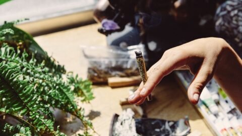 Cannabis dispensary Whitby