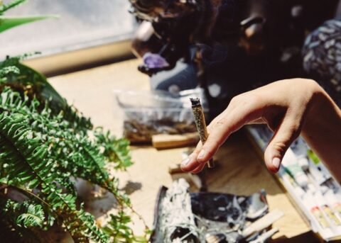 Cannabis dispensary Whitby