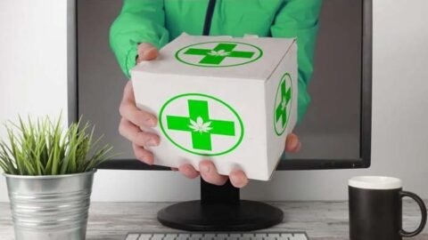 Cannabis delivery Scarborough