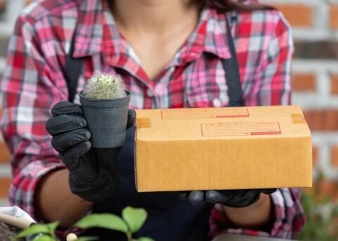 Cheap weed delivery in Scarborough