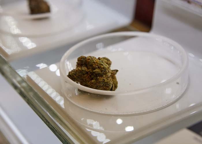 Cannabis dispensary North York