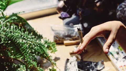 Oshawa weed dispensary