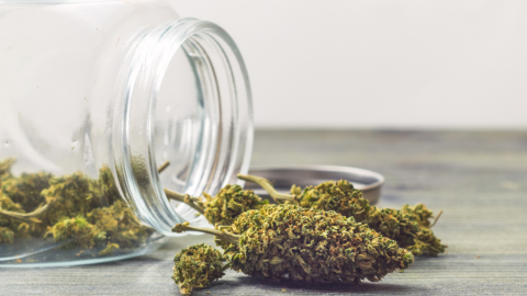 Cannabis dispensary North York