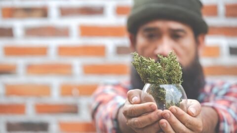weed delivery service in Oshawa