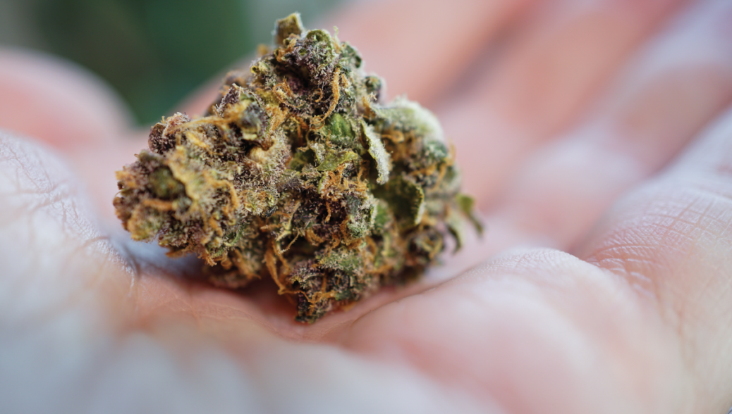Cannabis bundle deals