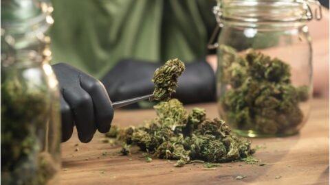 Weed Combo Deals